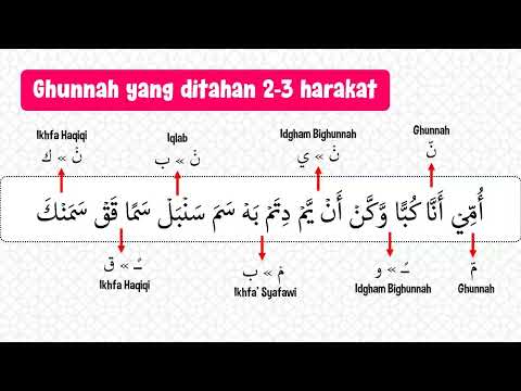 Belajar Tajwid dengan Asyik Materi Ghunnah