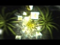 Diorama - Masquerades and Faces video 2012 HD ...
