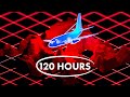 The Longest Hijacking In History