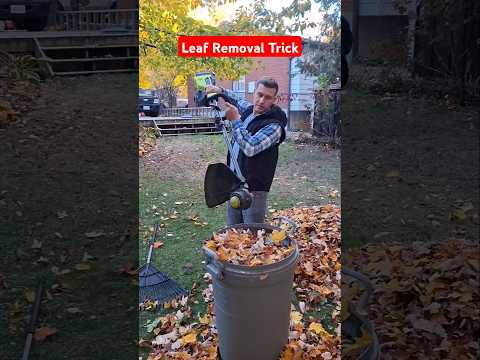 Leaf Removal Trick using a weed Wacker #leaves #leaf #hometips #yardwork #lawncare #tools #yard #diy
