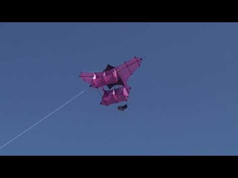 Meine Drachentasche 05