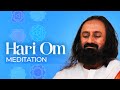 Hari Om Meditation Gurudev Chakra Meditation