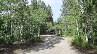 Lower Lee Vining Campground Video
