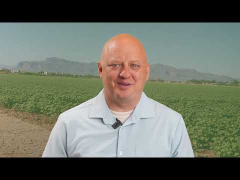 Clinic Video