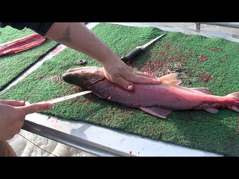 Fishing Alaska's Copper river.....with a Fish Wheel !