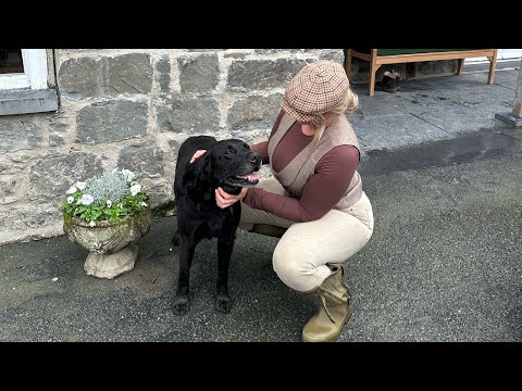 FIRST DAY OF THE SEASON! Pheasant shooting!