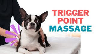 Massage for Dogs - Finding the Trigger Points