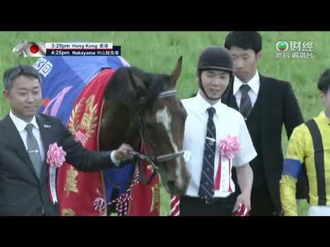 2023 Satsuki Sho (Japanese 2000 Guineas) G1 - Sol Oriens (初日高升) - T.Yokoyama