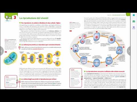 Scienze: la riproduzione dei viventi