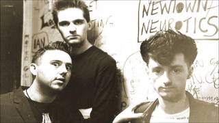 The Meteors - Rockabilly Psychosis (Peel Session)