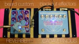 Video thumbnail for Blackout Effectors - Cadavernous vs Beard Custom - Reverber by ShurSoma