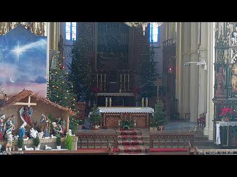 Transmisja Mszy św.