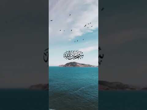 Ligjerat 1 Tema Muaji Shaban