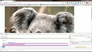 Displaying Images in server using Flask and Python.