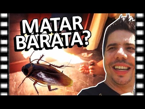 COMO MATAR UMA BARATA - Saga | Natal - RN [OF #37] Video