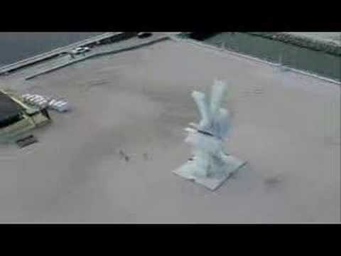 Febra Costinesti 2007