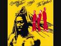 Bunny Wailer - Dreamland