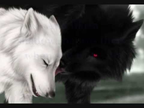 The Legend Of The Black Wolf+*. {COMPLETED} - {+.*Chapter 5: My Real But Fake Truth*.+} - Wattpad The Legend Of The Black Wolf+*. {COMPLETED} - {+.*Chapter 5: My Real But Fake Truth*.+} - Wattpad