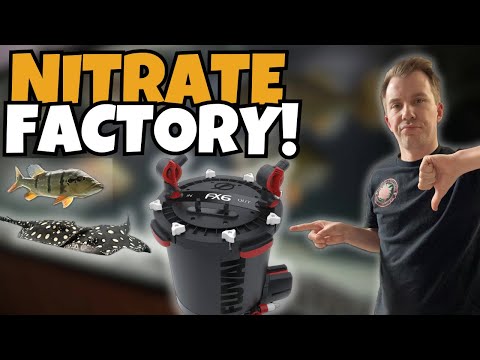 Fluval FX6 Canister Filter | Are they dangerous? -  (FX6 deep clean)