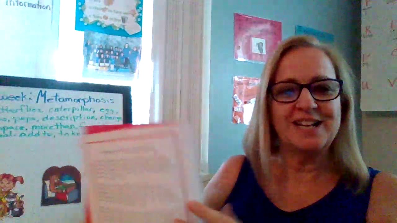 Animals Habitats Frog Street