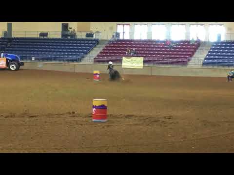 DATS A FIERCE DRAGON  standard pattern 17.81