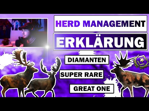 HERD MANAGEMENT GUIDE! deutsch | theHunter Call of the Wild