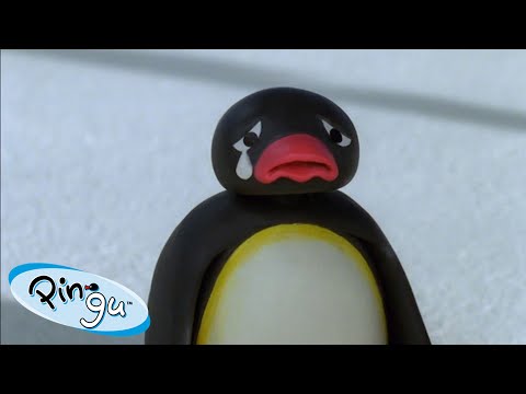 Pingu’s Emotions | Pingu - Official Channel | Cartoons For Kids