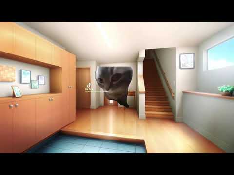 とにかく、ハッピーハッピーハッピーハッピーハッピーハッピーハッピー