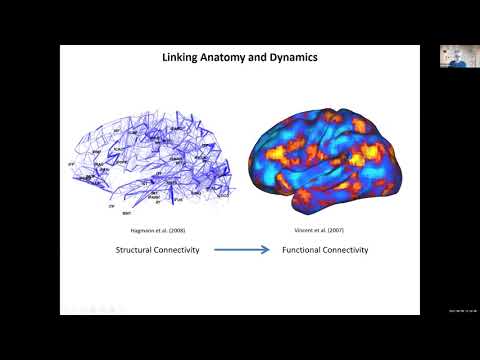 Brain Networks: Structural and Dynamic Substrates of Cognitive Architectures? – Olaf Sporns