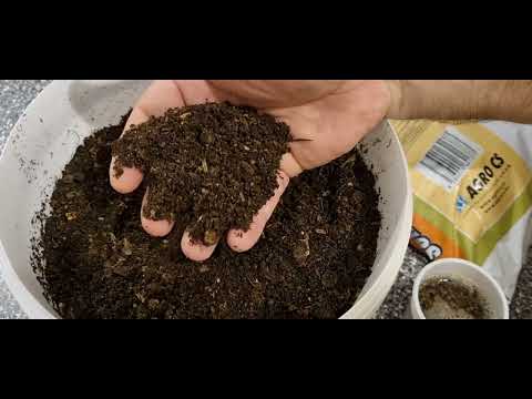 The secret of perfect seedling soil