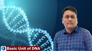 Download Lagu Basic Unit of DNA | IIT JAM Biotechnology (Biology) | IFAS Thumbnail