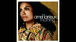 Amel﻿ Larrieux﻿-Trouble