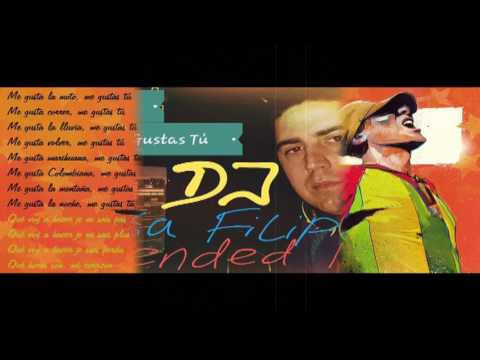 Manu Chao - Me Gustas Tú (DJ Saša Filipović Extended Mix)