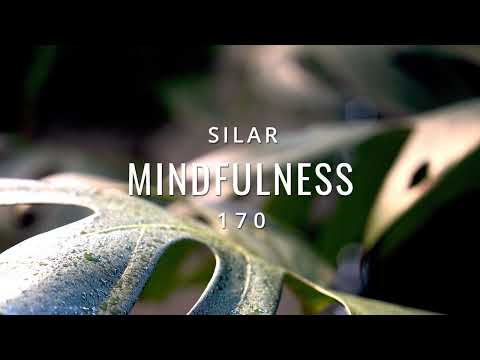 Mindfulness Episode 170 (Organic House Mix)