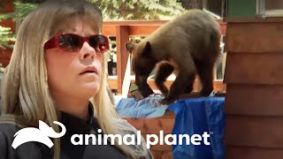 Thumbnail del capítulo