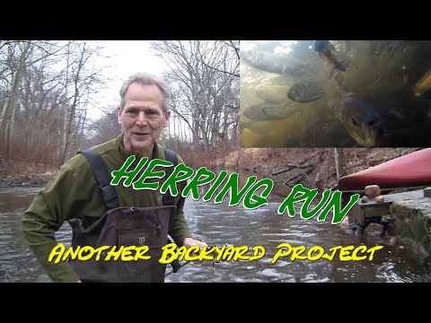 Herring Run
