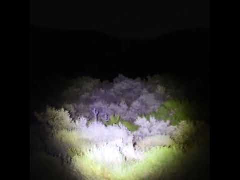 SamKing - Cruisin' (Official Instrumental)