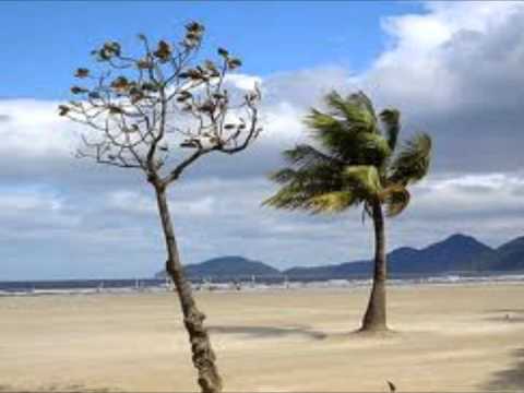 "Der Wind" von Peter Hille, vom Wortmann gelesen