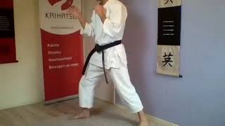 Mae-geri | beide benen afwisselend