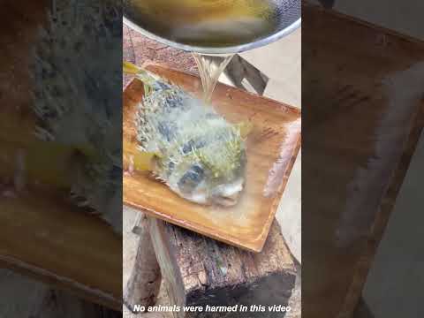 The fish: don't worry I'm okay