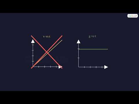 Gravity is Constant: The g vs Time Graph