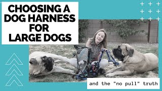 How to Choose a Dog Harness for Large Dogs ["NO PULL&qu