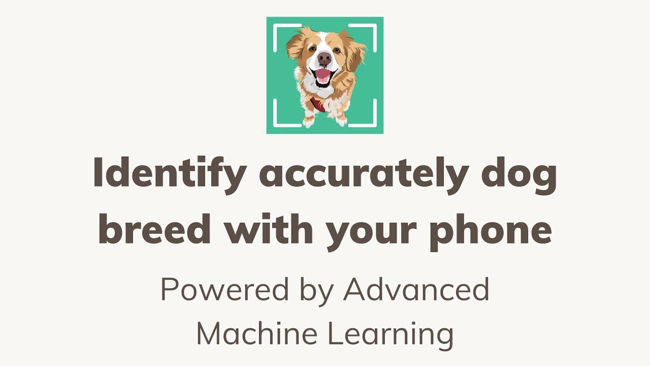 Dog Identifier - Puppy Scanner - Identify Your Dog 's Origin Just By Your iPhone #shorts