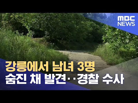 아이콘