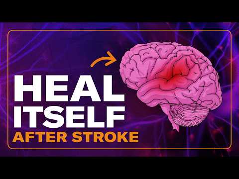 Can your brain heal itself after a stroke? – How to maximize your chances