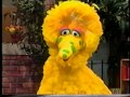 Sesame Street Big Bird Has The Birdy Pox