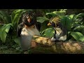 Surf S Up Koa Log Scene