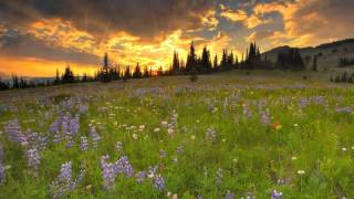 As the deer - Maranatha! Singers Music (instrumental)