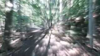 Lycia - A Presence In The Woods