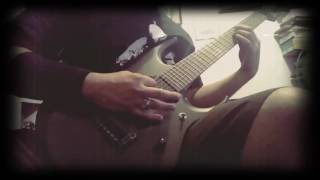 Pig destroyer - the diplomat (guitar cover)